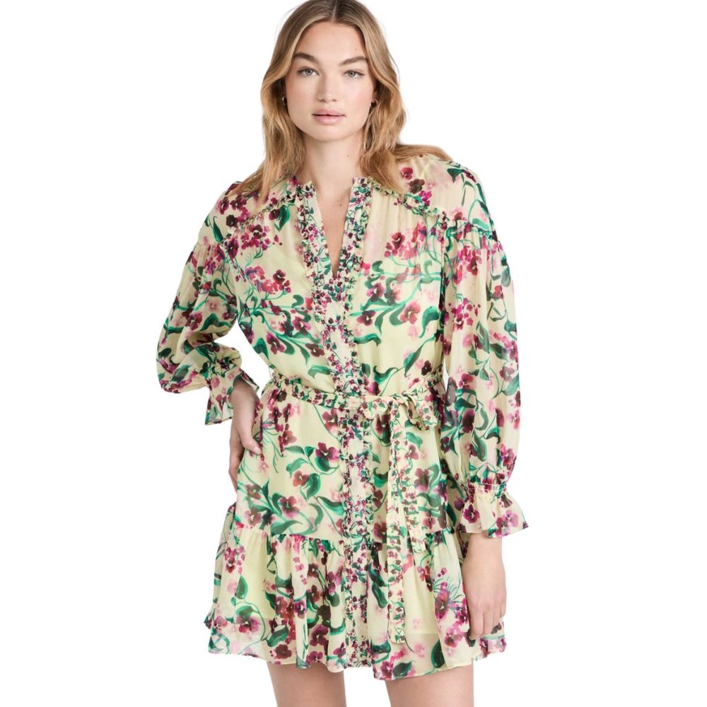 NWT Saloni Pixie 100% Silk Dress Size 0